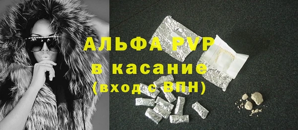 PSILOCYBIN Абаза