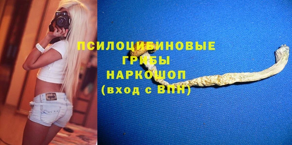 PSILOCYBIN Абаза