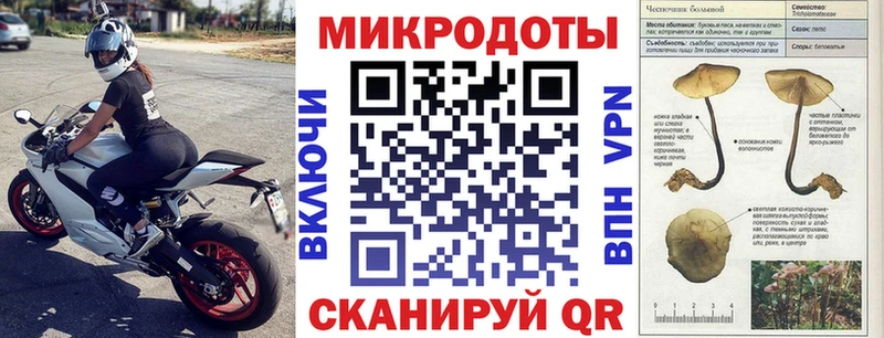 Галлюциногенные грибы Psilocybine cubensis  Омск 